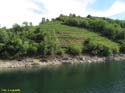 RIBEIRA SACRA (391) Catamaran Doade