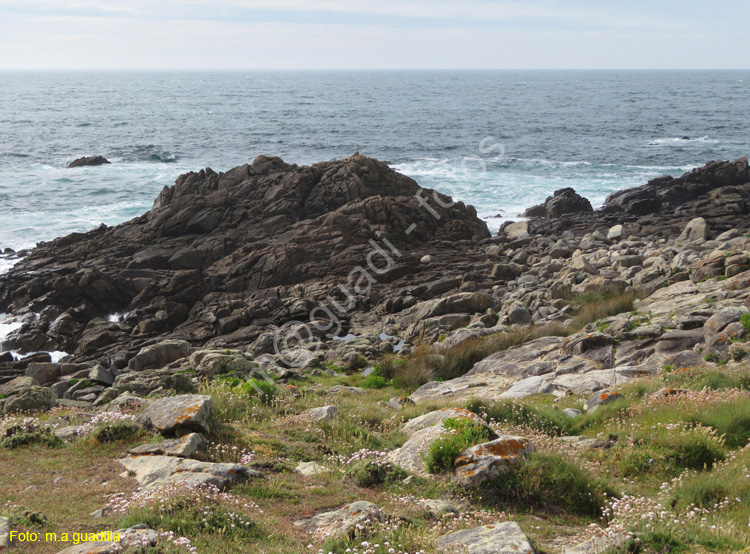 Ribeira (110) - Corrubedo - Faro