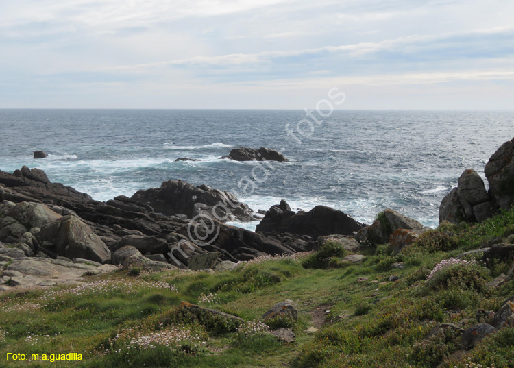 Ribeira (111) - Corrubedo - Faro