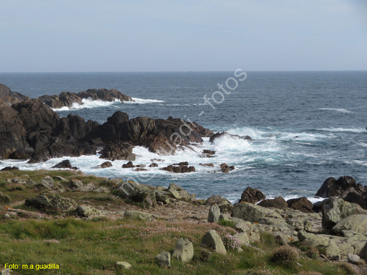 Ribeira (115) - Corrubedo - Faro