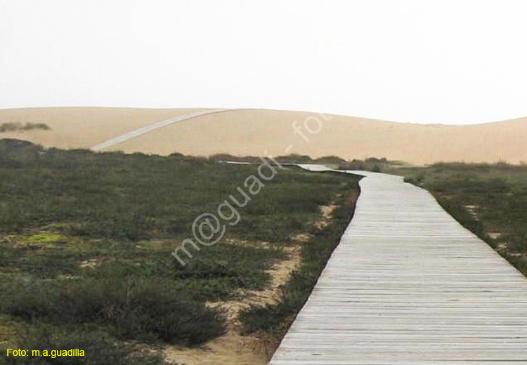 Ribeira (133) - Corrubedo - Dunas