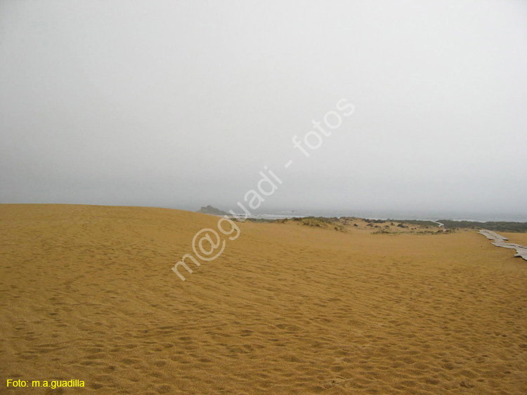 Ribeira (134) - Corrubedo - Dunas