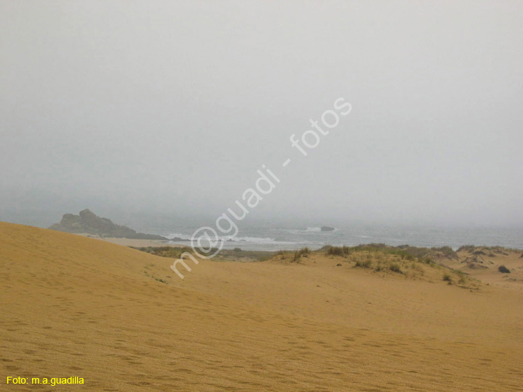 Ribeira (135) - Corrubedo - Dunas