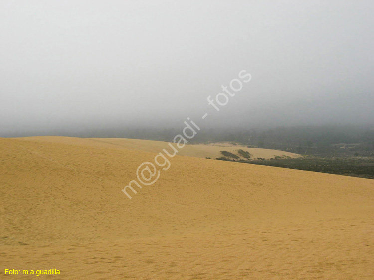 Ribeira (136) - Corrubedo - Dunas