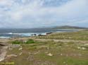 Ribeira (102) - Corrubedo - Faro