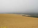 Ribeira (136) - Corrubedo - Dunas