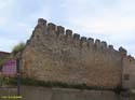 ROA (100) Muralla