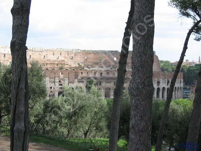 231 Italia - ROMA Monte Palatino