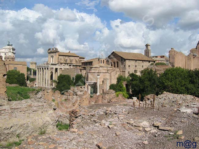 235 Italia - ROMA Foro Romano