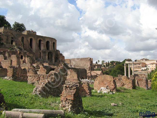 238 Italia - ROMA Foro Romano