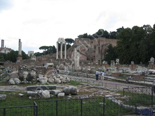 244 Italia - ROMA Foro Romano