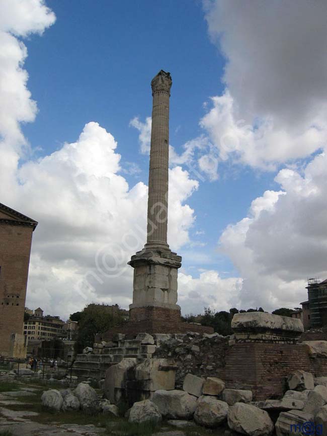 245 Italia - ROMA Foro Romano