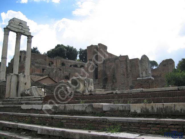 246 Italia - ROMA Foro Romano