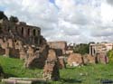 238 Italia - ROMA Foro Romano