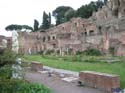 241 Italia - ROMA Foro Romano - Casa de las Vestales