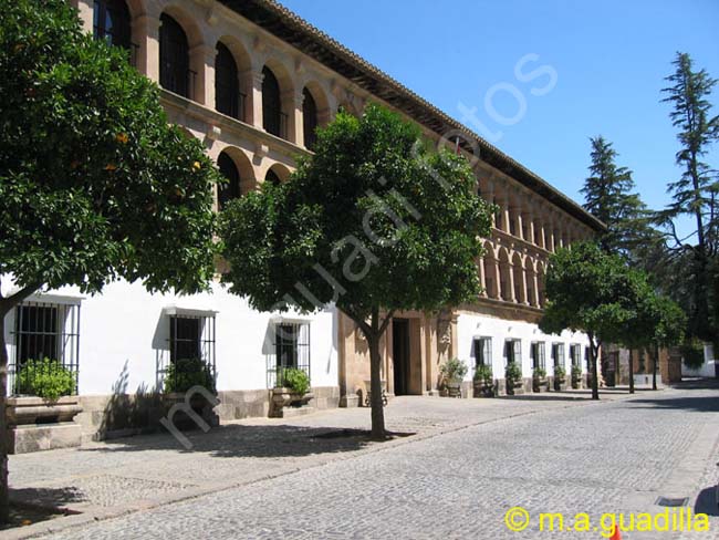 RONDA 116 Ayuntamiento