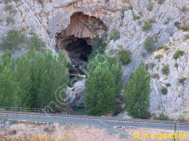 z CUEVA DEL GATO - Carretera de Benaojan 002