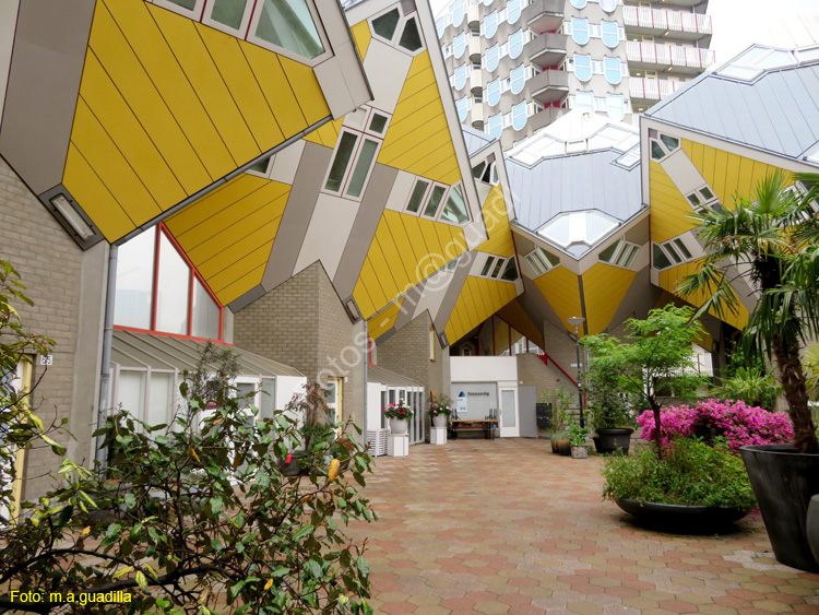 ROTTERDAM (141) Casa Cubo