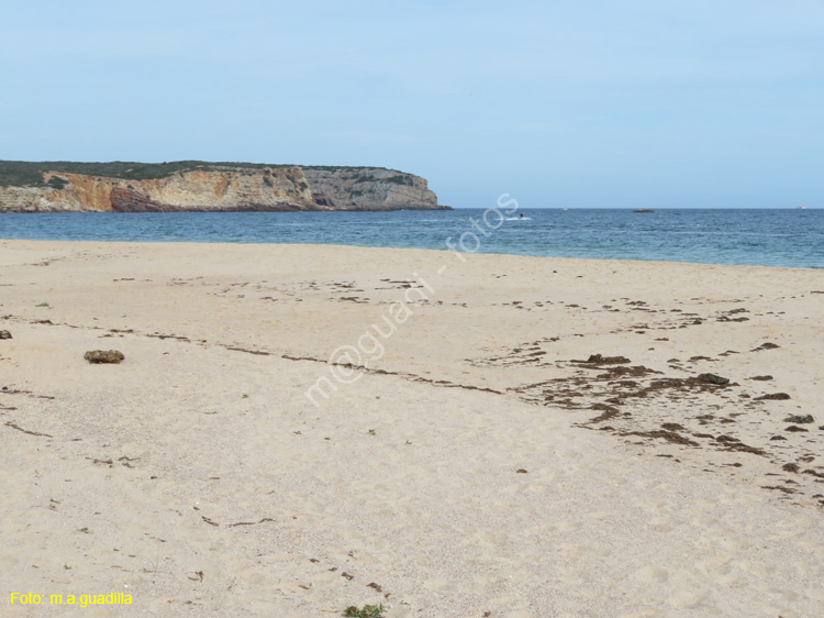 SAGRES (196) Playa do Martinhal