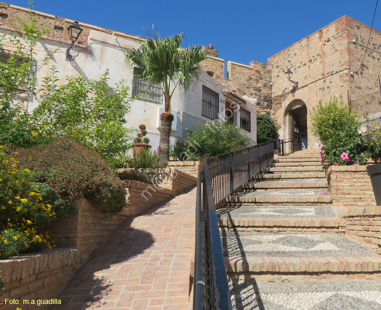 SALOBREÑA (105) Castillo