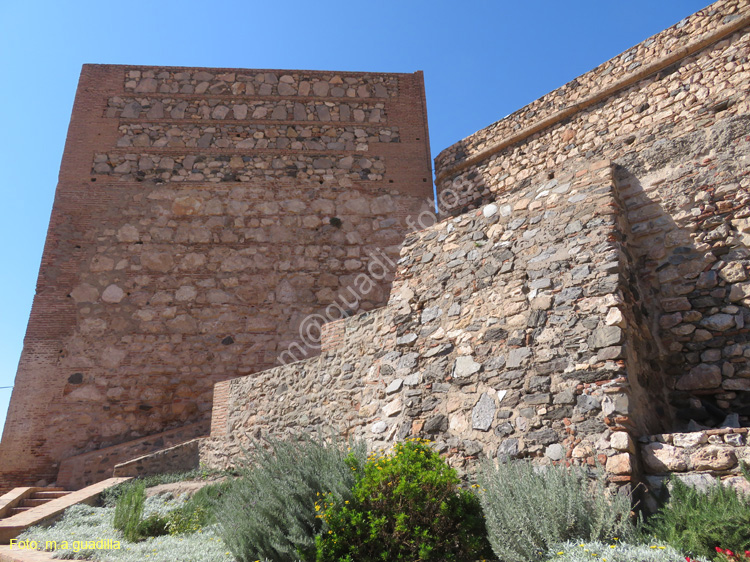 SALOBREÑA (106) Castillo