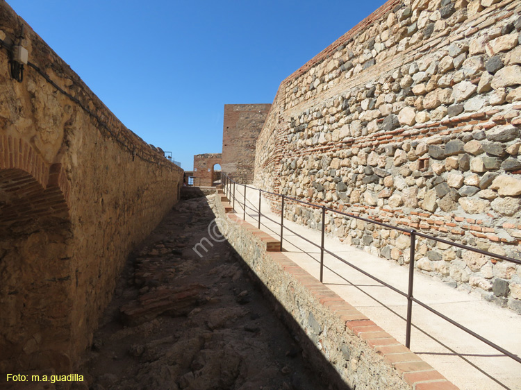 SALOBREÑA (110) Castillo