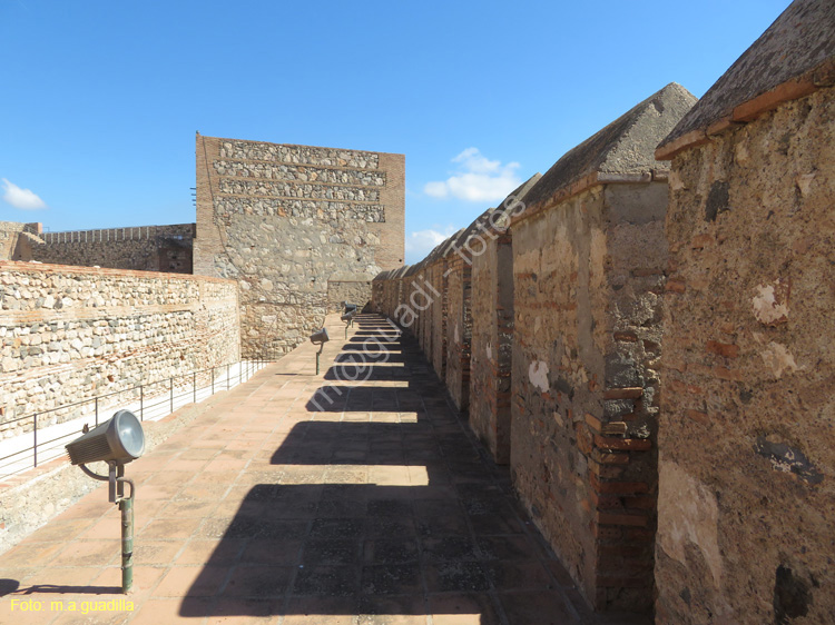SALOBREÑA (111) Castillo