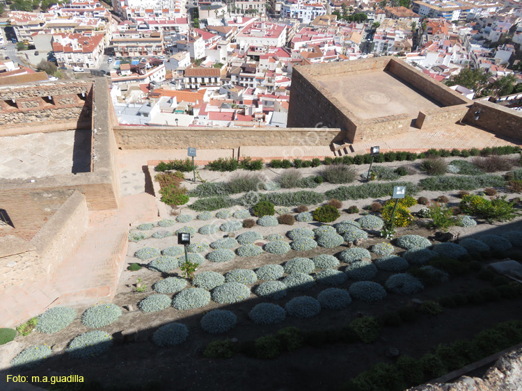 SALOBREÑA (120) Castillo