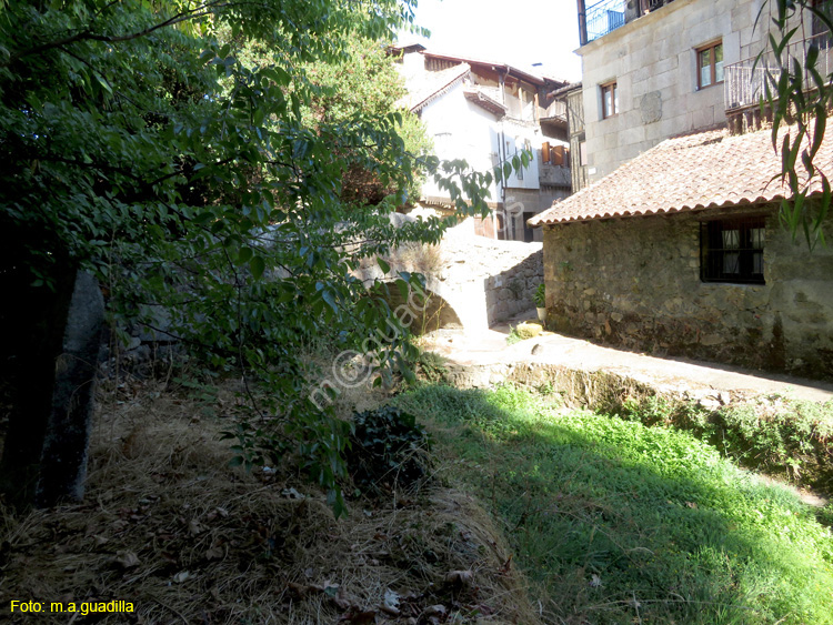 SAN MARTIN DEL CASTAÑAR (106)