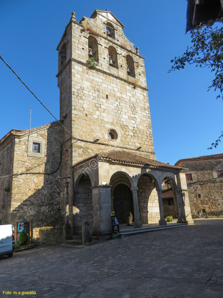 SAN MARTIN DEL CASTAÑAR (109) Iglesia San Martin de Tours