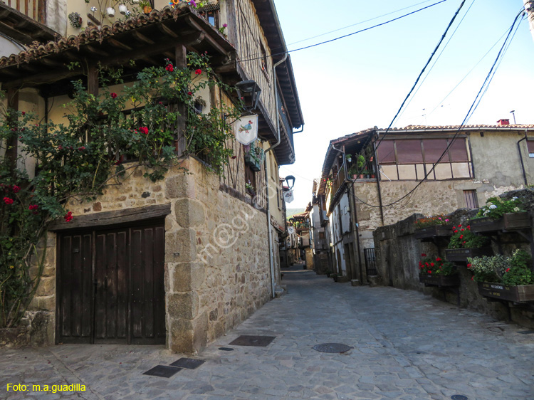 SAN MARTIN DEL CASTAÑAR (114)