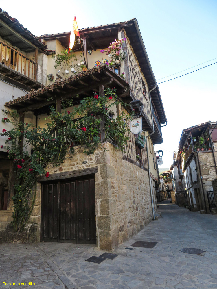 SAN MARTIN DEL CASTAÑAR (115)
