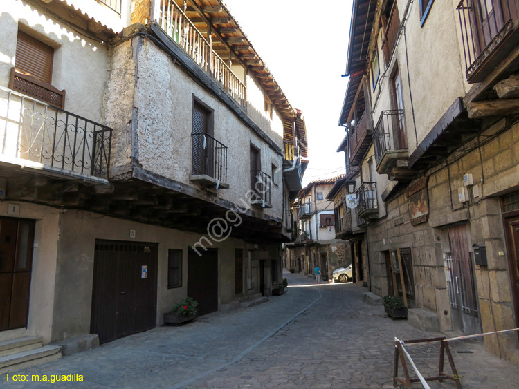 SAN MARTIN DEL CASTAÑAR (122)