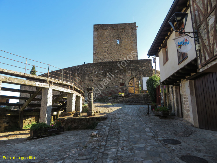 SAN MARTIN DEL CASTAÑAR (131) Castillo