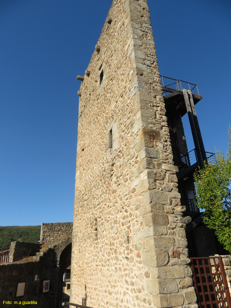 SAN MARTIN DEL CASTAÑAR (134) Castillo