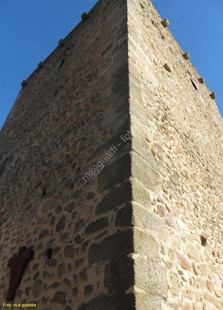 SAN MARTIN DEL CASTAÑAR (135) Castillo