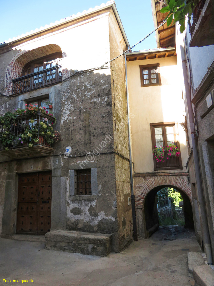 SAN MARTIN DEL CASTAÑAR (138)