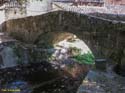SAN MARTIN DEL CASTAÑAR (104) Puente Romano y Calzada