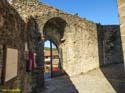 SAN MARTIN DEL CASTAÑAR (132) Castillo