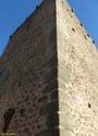 SAN MARTIN DEL CASTAÑAR (135) Castillo