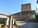SAN MARTIN DEL CASTAÑAR (136) Castillo