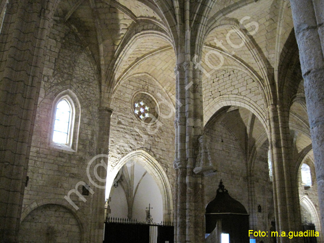 SAN VICENTE DE LA BARQUERA (128)