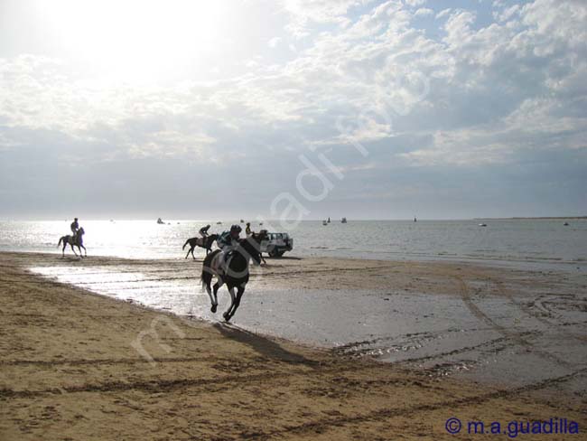 SANLUCAR DE BARRAMEDA 136 CARRERAS DE CABALLOS