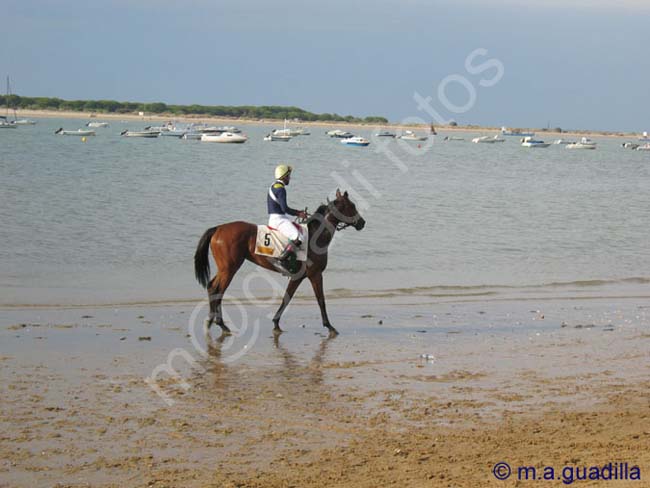 SANLUCAR DE BARRAMEDA 137 CARRERAS DE CABALLOS