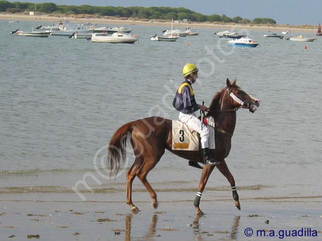 SANLUCAR DE BARRAMEDA 138 CARRERAS DE CABALLOS