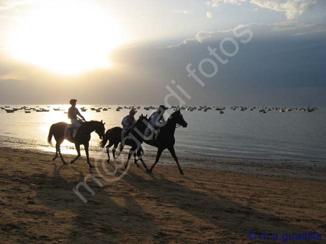 SANLUCAR DE BARRAMEDA 149 CARRERAS DE CABALLOS