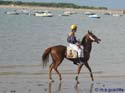 SANLUCAR DE BARRAMEDA 138 CARRERAS DE CABALLOS