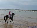 SANLUCAR DE BARRAMEDA 139 CARRERAS DE CABALLOS