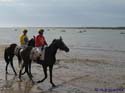 SANLUCAR DE BARRAMEDA 141 CARRERAS DE CABALLOS