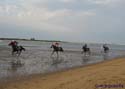 SANLUCAR DE BARRAMEDA 145 CARRERAS DE CABALLOS